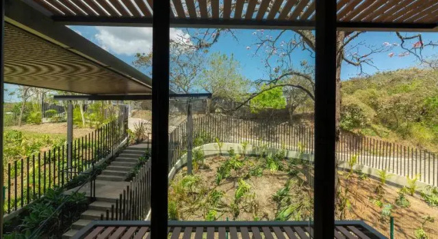 Апартаменты Superior BEE Suites San José - Santa Ana