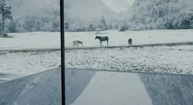 Yeyu Yebeng Wild Scenery Homestay, Reservar Hotel Hotéis e alojamentos em Diqing, Hotel
