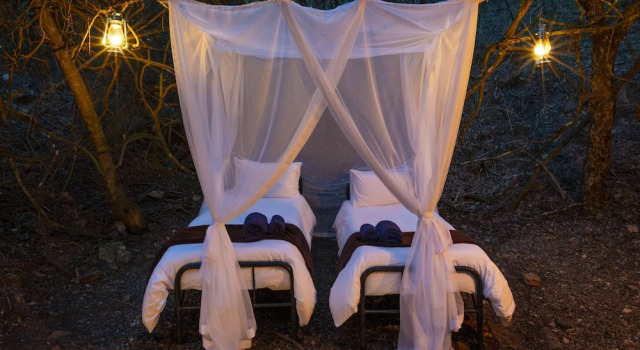 Тент Stargazer Camp - Bellevue Forest Reserve
