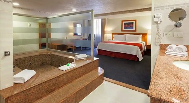 Люкс Holiday Inn MEXICO COYOACAN