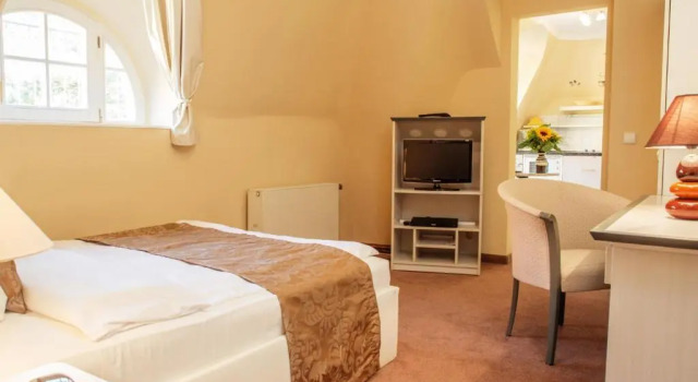Одноместный номер Economy Aparthotel Villa Freisleben
