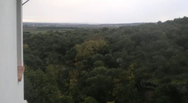 Семейный номер Standard Centro de Naturaleza Cañada Verde "To relax in Enchanted Forest"