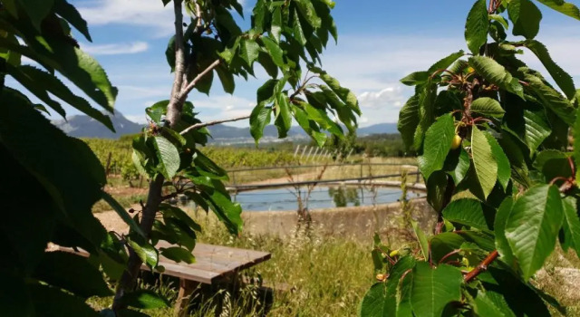 Коттедж Domaine de la Navicelle