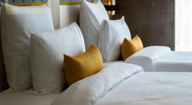 Двухместный номер Executive Novotel Guwahati GS Road