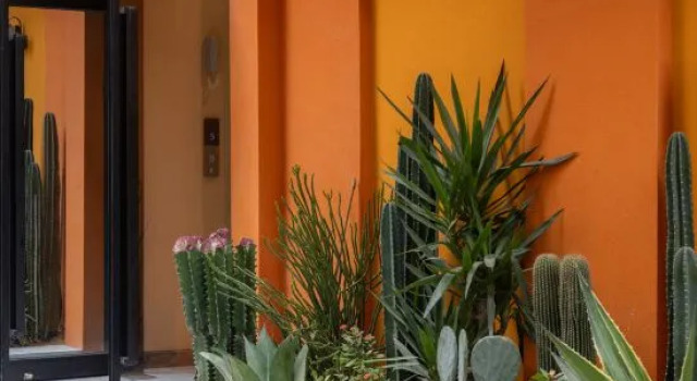 Sanya Alley Mo Homestay (Wuzhizhou Island Back Bay Branch), Book Hotel Sanya Hainan