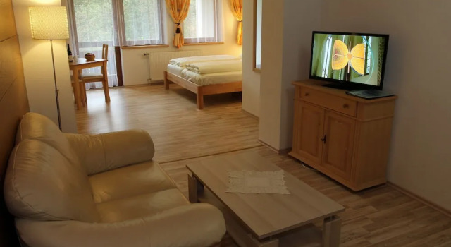 Номер Comfort Hotel Alpenhaus Evianquelle