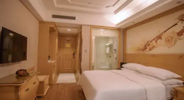 Люкс Deluxe Vienna Hotel (Qidong Lvsigang)