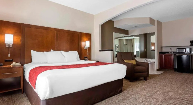 Люкс Comfort Suites Salisbury I-85