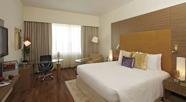 Одноместный номер Superior Radisson Gurugram Udyog Vihar