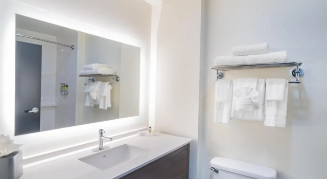 Run of House Holiday Inn Southaven Central - Memphis by IHG
