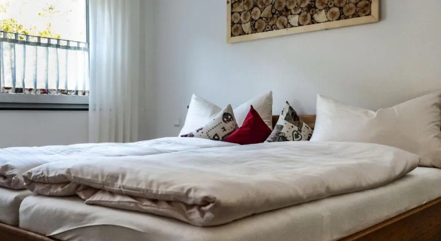 Апартаменты с 2 комнатами Ferienhof Giedensbach
