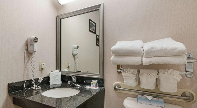 Четырёхместный люкс Quality Suites Springdale West I-49