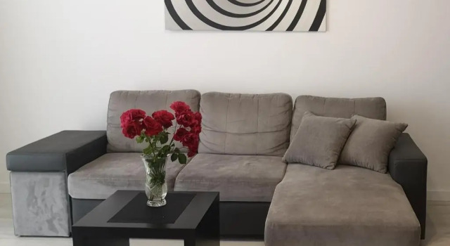 Апартаменты Apartament na Malczewskiego