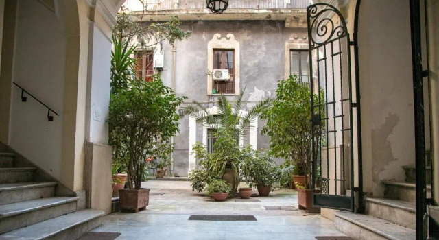 The House