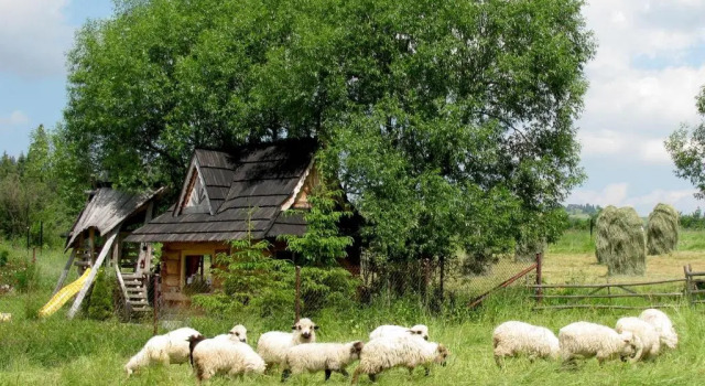 Шале Superior Luxury Chalet Villa Gorsky