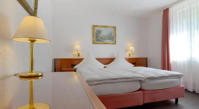 Одноместный номер Comfort Hotel Zehnthof