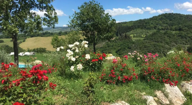 Двухместный номер Standard Agriturismo Fontenuova