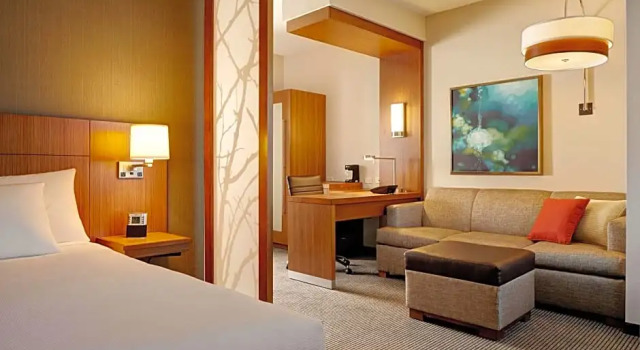 Двухместный люкс c 1 комнатой Hyatt Place Detroit/Novi