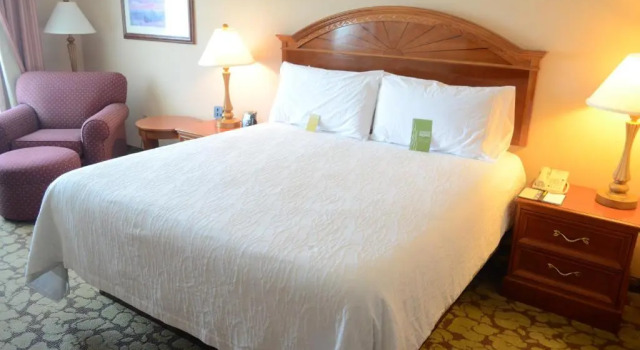 Двухместный номер Accessible ACP Hotel Houston Westchase, MOD Collection by Sonesta