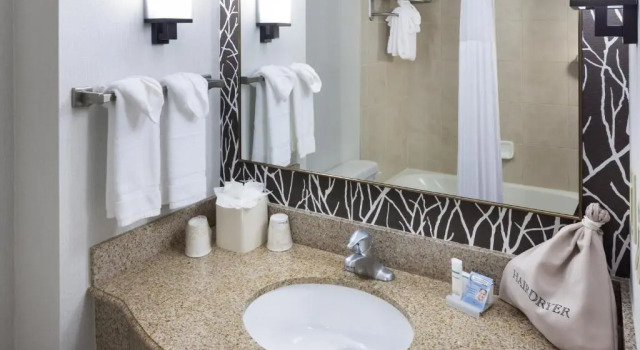 Двухместный номер Mobility Accessible with Bathtub Hilton Garden Inn Nashville Vanderbilt