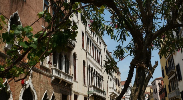 Ve.N.I.Ce Cera Palazzo Grimani, Забронировать Отель Сан-Марко Венеция, рядом с Gallerie dell' Accademia