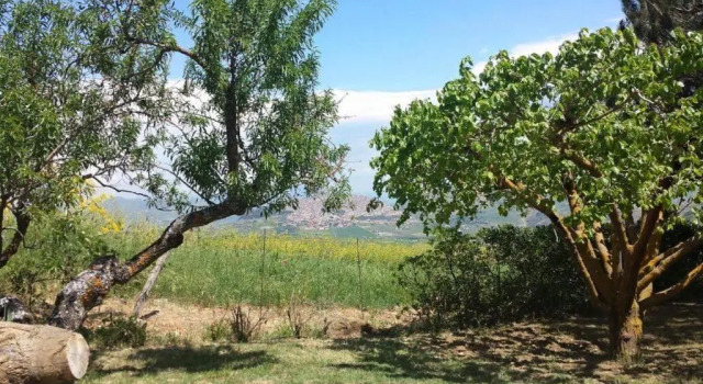 Коттедж Casa Vacanze Villa Mariano