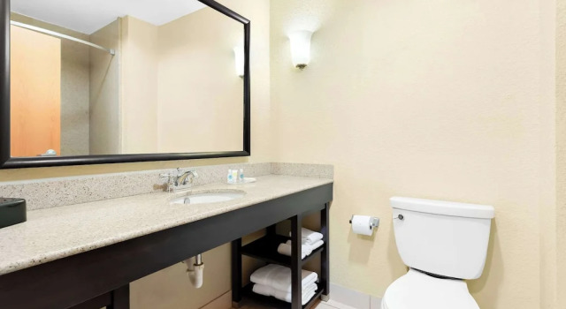 Люкс Standard Comfort Suites Tampa Airport North
