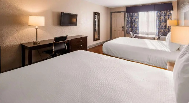 Четырёхместный номер Standard SureStay Plus Hotel by Best Western Hammond