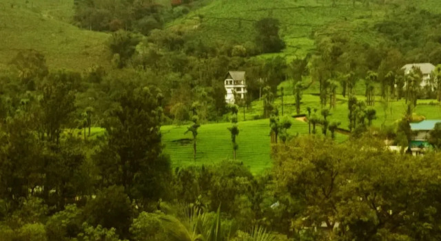Двухместный номер Executive с видом на горы Gokulam Park Munnar