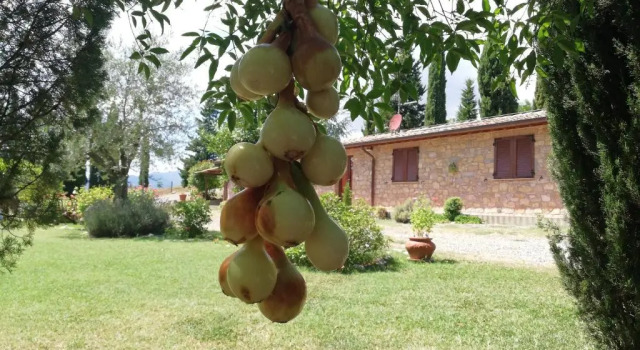 Двухместный номер Standard Agriturismo Collomici