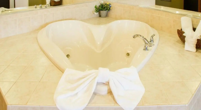 Люкс Executive Inn & Suites