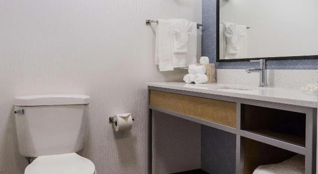 Четырёхместный номер Standard Hilton Garden Inn Atlanta North/Johns Creek