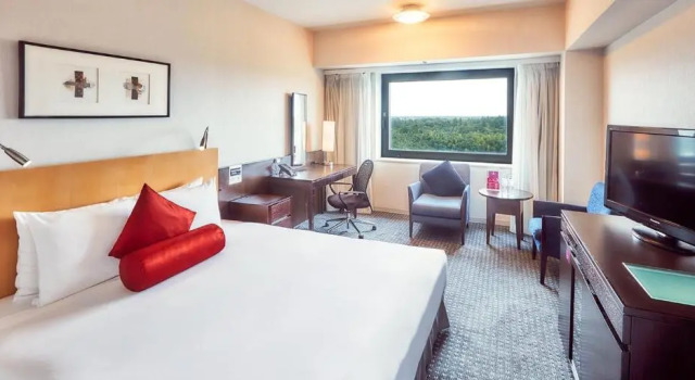 Двухместный номер Standard ANA Crowne Plaza Narita by IHG