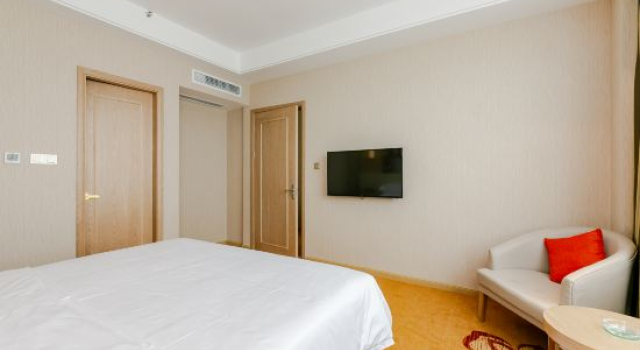 Люкс Deluxe Vienna International Hotel (Chengdu Pidu Bailun Plaza)