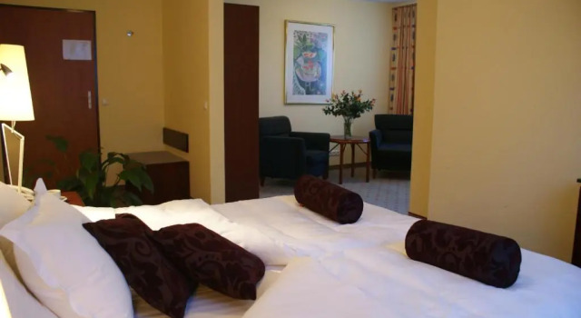 Номер Standard Hotel Wilga by Katowice Airport