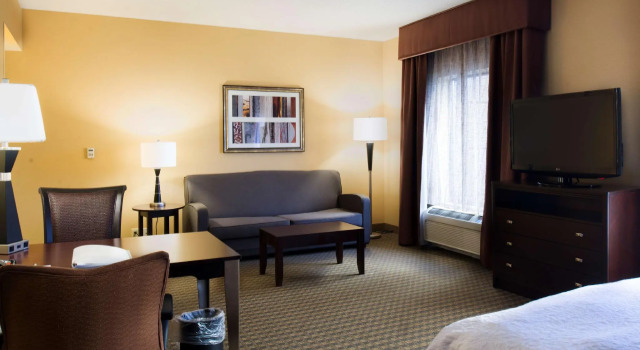 Двухместный люкс Hampton Inn & Suites Vineland