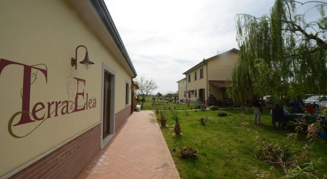 Agriturismo Terra di Elea
