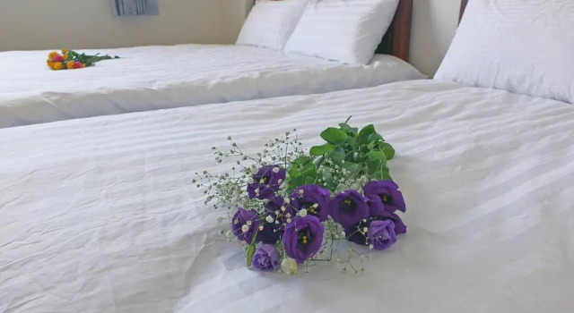 Четырёхместный номер Standard Village Tree B&B