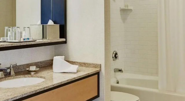 Двухместный номер Standard Renaissance New Orleans Arts Warehouse District Hotel