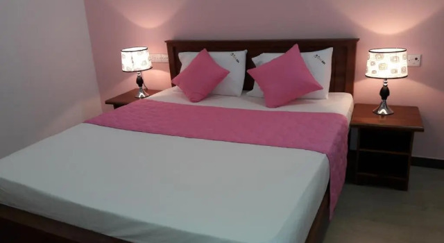 Двухместный номер Luxury Rani Inn