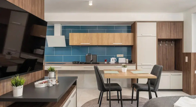 Студия Balaton Flow Residence