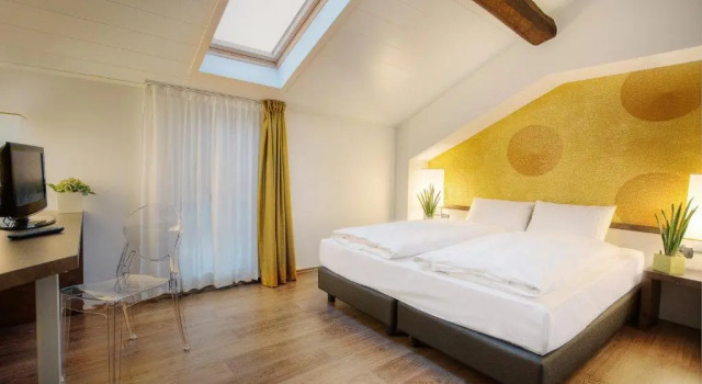Двухместный номер Standard Hotel Internazionale Bellinzona