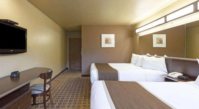 Четырёхместный номер Standard Microtel Inn & Suites by Wyndham Searcy