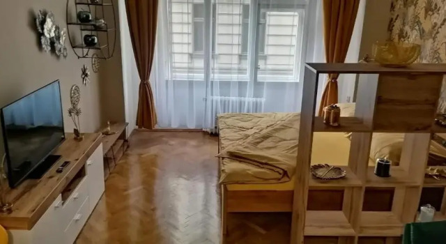 Двухместный номер Deluxe Apartment Jakubská 676