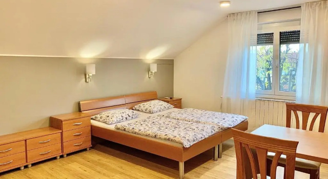 Номер Classic Stara lipa Tašner Rooms with Free Parking & Kitchen & Garage
