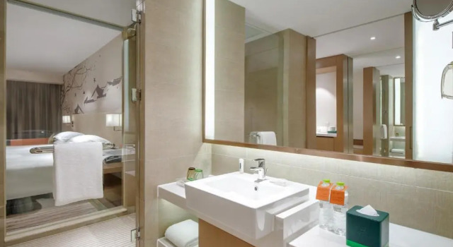 Двухместный номер Standard Holiday Inn Chengdu High-Tech Center by IHG