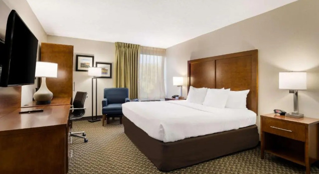 Одноместный номер Standard Comfort Inn Lexington Virginia Horse Center