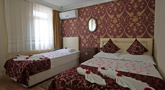 Двухместный номер Economy Sirkeci Emek Hotel