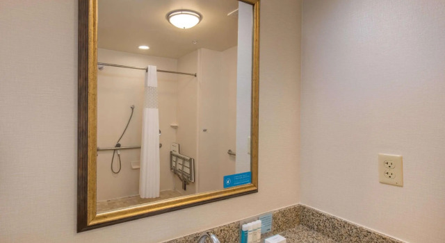 Двухместный номер Standard Hampton Inn & Suites Jekyll Island