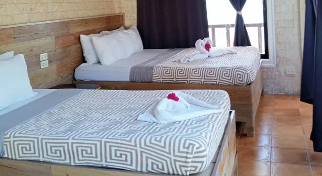 Номер Deluxe Nalusuan Island Resort and Marine Sanctuary